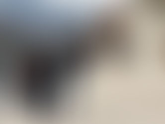 Olten: Neujahrsapéro auf dem Ländiweg