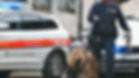 Archivbild der Regionalpolizei Zofingen.