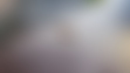 Mit Dezimierung gefährlicher Moskitos Krankheiten bekämpfen