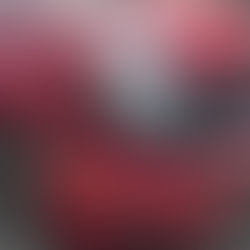 Muri: Kollision auf Aarauerstrasse hinterlässt Fragen