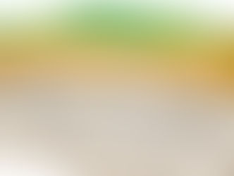 Definitiv kein geologisches Tiefenlager im Niederamt