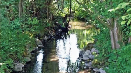 Warum hat der "Fulebach" Wasser wie immer, während die Dünnern und andere Gewässer austrocknen?