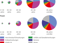 Covid-19: Dritthäufigste Todesursache in der Schweiz im Jahr 2020