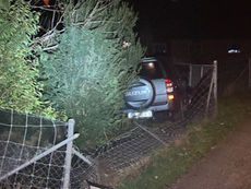 Rheinfelden: Strolchenfahrt einer 15-Jährigen endete im Garten