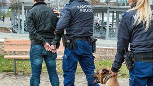 Hunzenschwil: Sind Aargauer Polizisten doch zu weit gegangen?