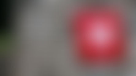 Vorsicht: Es gilt für uns weiterhin, die Abhängigkeit von den USA zu senken