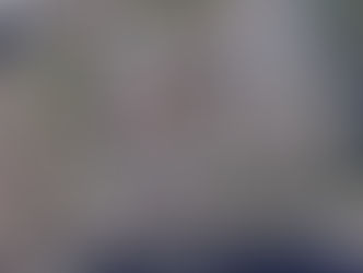 Olten: Öffentliche Planauflage der Planungszone Tannwaldstrasse (Lever-Areal)