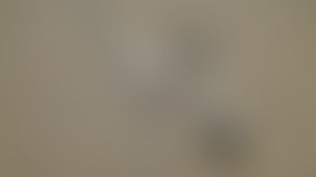 Vogelgrippe ist da: Tote Vögel nicht berühren