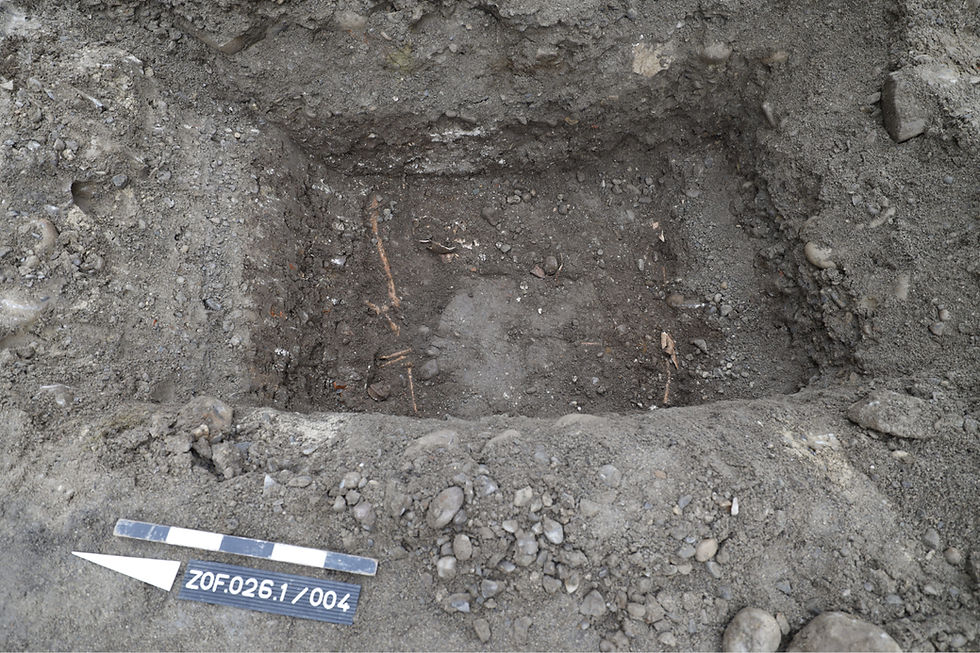 Knochenfund unter dem Kirchplatz in Zofingen (Bild: Kantonsarchäologie Aargau)