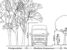 Zurückschneiden von Bäumen, Sträuchern und Hecken