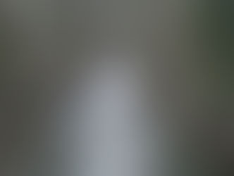 Mit Pestiziden verseuchter Limpach