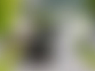 Militärübung mit 5000 Armeeangehörigen und vielen Panzern im Mittelland