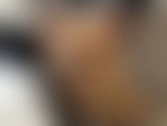 29 Katzen aus Wohnung gerettet