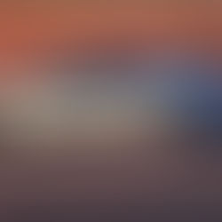 Warum BYD der Konkurrenz den K.-o.-Schlag versetzt