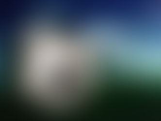 Fussball-WM: Kanton Solothurn informiert über Gefahren von Online-Wetten