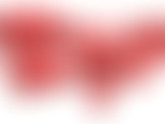 Januarloch-Tipp: Lebensmittel dort kaufen, wo sie dauerhaft günstiger sind