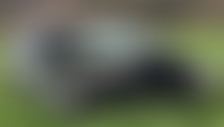 Wittnau: So sieht ein Volvo aus, nach einem Selbstunfall unter Alkohol