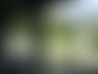 Zofingens Altersausflug führte ins Tropenrestaurant Florida