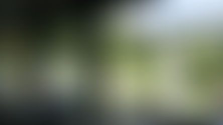 Zofingens Altersausflug führte ins Tropenrestaurant Florida