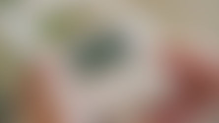 Aargau: Vorsicht vor falschen Stromablesern