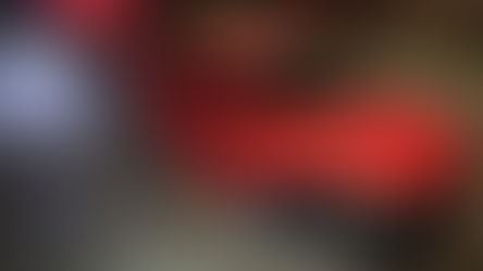 Siglistorf: Auf Alkoholfahrt einen Gartenzaun demoliert