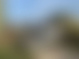 Rupperswil: 31-jähriger Autofahrer durchbrach Wildschutzzaun und landete auf dem Dach