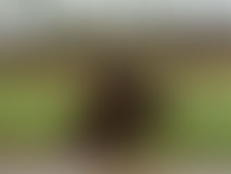 Kanton Aargau: Sturmböen verursachten Schäden