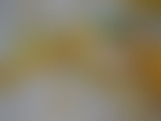 Nach "Pro Militia" fordert auch "Comparis" professionellen Krisenstab