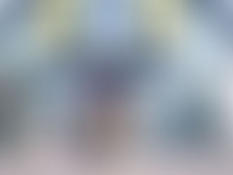 Andere reden davon, Lidl entlastet Schweizer Haushalte wirklich