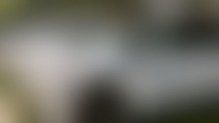 AMAG zum Ausstieg der EU aus dem Ausstieg der Verbrennungsmotoren