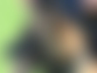 Oftringen: Polizeihund "Enox" bekam einen frischen Einbrecher