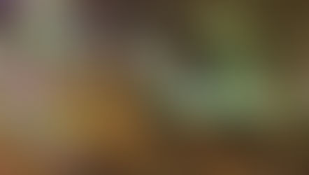 Bremgarten: 62-Jähriger fuhr besoffen in den Wald