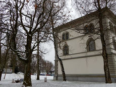 Zofingen: Birke muss im Rahmen der Baum- und Parkpflege gefällt werden