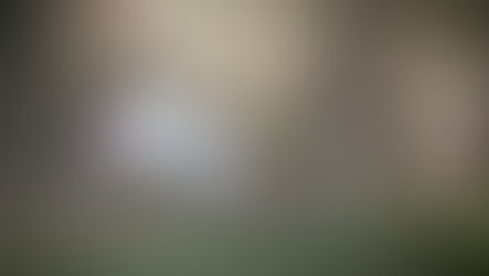 Wölflinswil: Alkoholisierter Autolenker in Bach gefahren