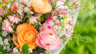Blumen online bestellen in der Schweiz: Blueme-Shop erreicht Platz 1 bei Kundenzufriedenheit