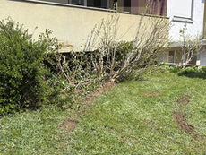 Untersiggenthal: Senior fuhr gegen Hausfassade