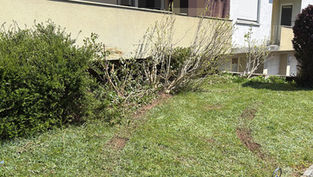 Untersiggenthal: Senior fuhr gegen Hausfassade