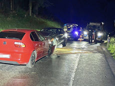Seon / Hendschiken: Es crashed im Aargau wegen Insekt und Alkohol