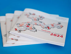 Kanton Solothurn: Wichtigste Zahlen auf einen Blick, immer wieder interessant