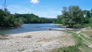 Solothurner Komitee für ein Ja zur Klimafondsinitiative