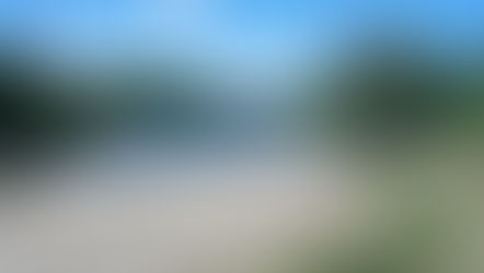 Solothurner Komitee für ein Ja zur Klimafondsinitiative