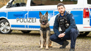 Polizeihunde sind die neue Aargauer Wunderwaffe gegen nächtliche Diebe