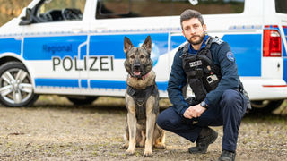 Polizeihunde sind die neue Aargauer Wunderwaffe gegen nächtliche Diebe