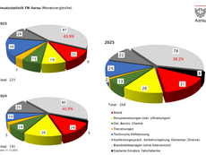Aarau: Stadtpolizei 325 Jahre alt