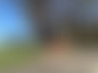 Muri: Tödliche Kollision eines 31-Jährigen mit einem Baum