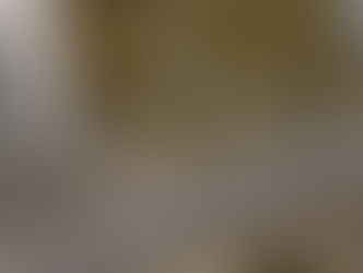 11 tote Kaninchen und 40 Katzen in Wohnhaus aufgefunden