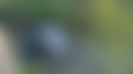 Endingen: Abkühlung in der Surb nach Sekundenschlaf?