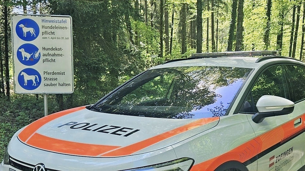 Die Leinenpflicht für Hunde gilt am Waldrand und im Wald (Bild: zVg. Stadt Zofingen)