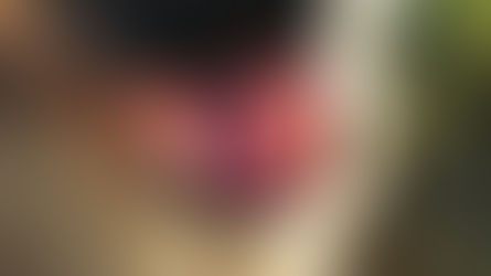 Bad Zurzach: Wem gehört der beissende Hund?