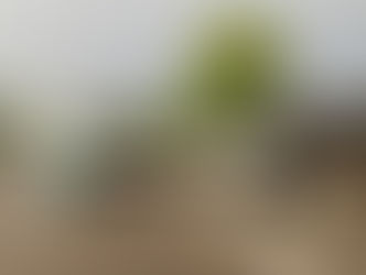 Oftringen: Anhänger auf Autobahn A1 gekippt